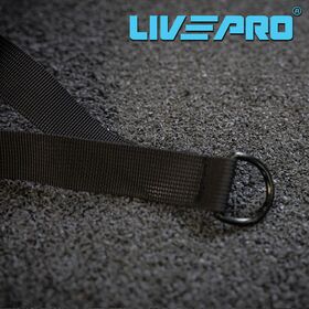 Ιμάντες Άκρων LivePro Β-8712