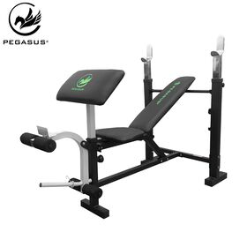 Πολυπάγκος για βάρη Pegasus® W-359 Λ-5818