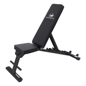 Pegasus® Ρυθμιζόμενος Πάγκος PG1104B 390201104