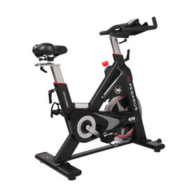 Ποδήλατο Pegasus® Spin Bike PG5 391167873