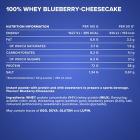 Πρωτεΐνη IronMaxx 100% Whey Protein 500gr Blueberry-Cheesecake