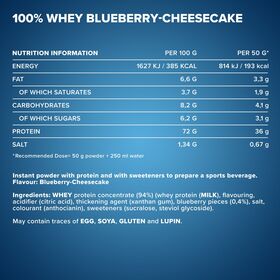 Πρωτεΐνη IronMaxx 100% Whey Protein 900gr Blueberry-Cheesecake