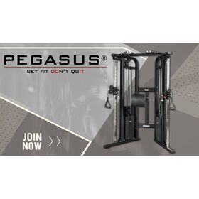 Πολυόργανο Γυμναστικής Επαγγελματικό Functional Trainer Pro PEGASUS