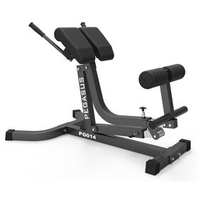 Pegasus® Πάγκος Ραχιαίων Ρυθμιζόμενος PG-014 390167014