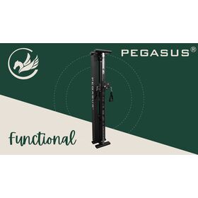 Functional Trainer Τοίχου Pegasus® T-SC01 327201931