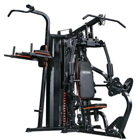 Πολυόργανο Γυμναστικής VIKING X-3