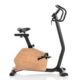 Ποδήλατο Γυμναστικής Όρθιο Στατικό CardioPace 5.0 NorsK Hammer