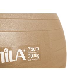 Μπάλα Γυμναστικής AMILA GYMBALL 75cm Χρυσή Bulk 48415