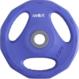 Δίσκος AMILA Pump Rubber Φ28 2,50Kg 44415