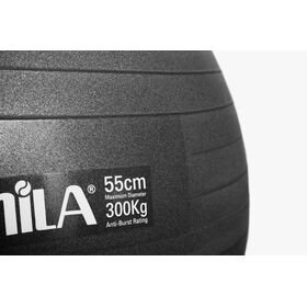 Μπάλα Γυμναστικής AMILA GYMBALL 55cm Μαύρη Bulk 48412