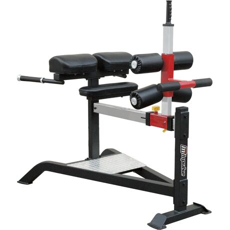 Glute Ham Bench SL7013 SL7013 Glute Ham Bench SL7013 SL7013