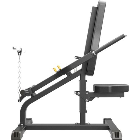 Biceps / Triceps Impulse IFP1706