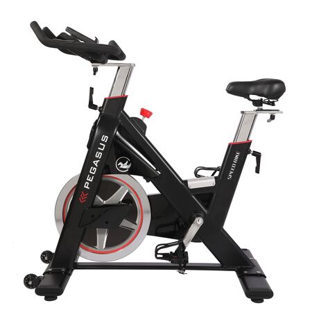 Ποδήλατο Pegasus® Spin Bike PG5 391167873 Ποδήλατο Pegasus® Spin Bike PG5 391167873