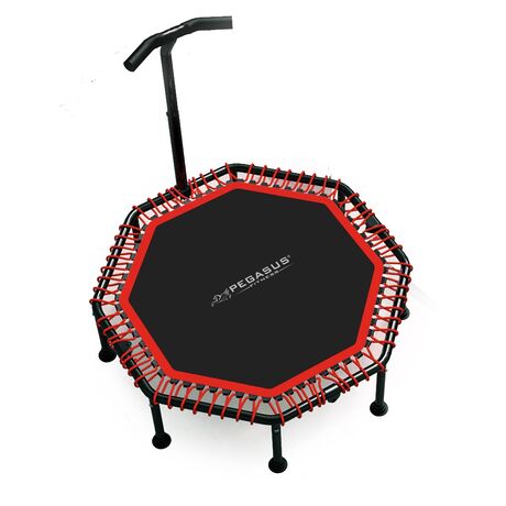 Pegasus® Οκτάγωνο τραμπολίνο με Λαβή 48" (122cm) Β 4503-A Pegasus® Οκτάγωνο τραμπολίνο με Λαβή 48" (122cm) Β 4503-A