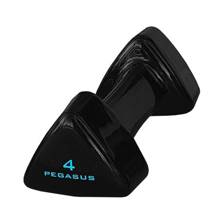 Pegasus® Τρίγωνος Αλτήρας Vinyl 4kg PG-1005 393600504 Pegasus® Τρίγωνος Αλτήρας Vinyl 4kg PG-1005 393600504