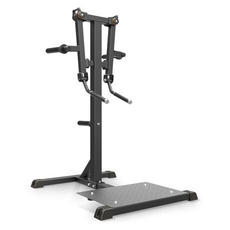 Standing Lateral Raise Impulse IFP1103