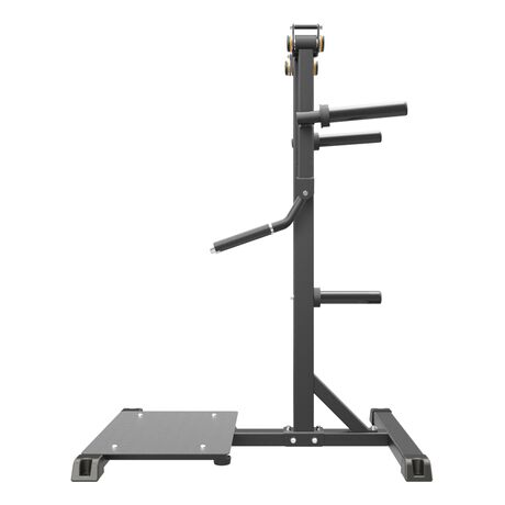 Standing Lateral Raise Impulse IFP1103