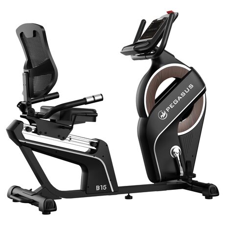 Pegasus® Καθιστό Ποδήλατο B15 341996632 Pegasus® Καθιστό Ποδήλατο B15 341996632