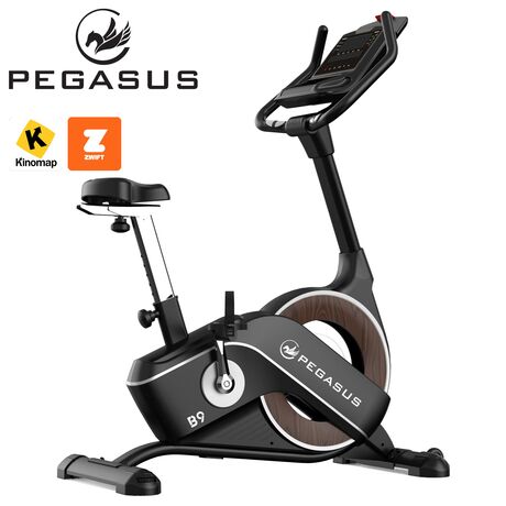 Ποδήλατο Γυμναστικής Pegasus® B9 341996602 Ποδήλατο Γυμναστικής Pegasus® B9 341996602