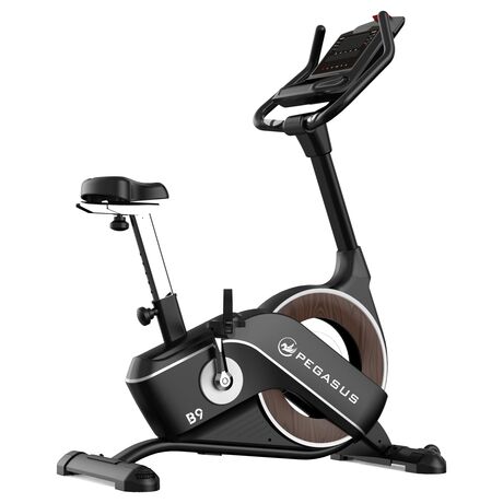 Ποδήλατο Γυμναστικής Pegasus® B9 341996602 Ποδήλατο Γυμναστικής Pegasus® B9 341996602