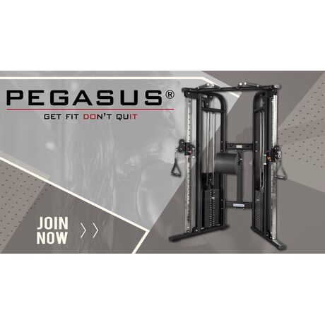 Πολυόργανο Γυμναστικής Επαγγελματικό Functional Trainer Pro PEGASUS Πολυόργανο Γυμναστικής Επαγγελματικό Functional Trainer Pro PEGASUS
