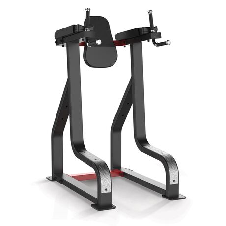 Vertical knees raise / Dip stand SL7045 SL7045