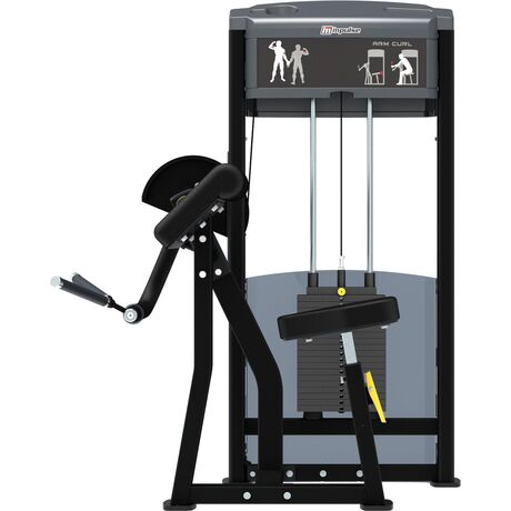 Arm Curl IF9303 IF9303