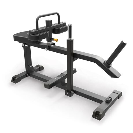 Seated Calf Raise IFP1623