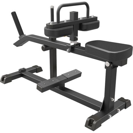 Seated Calf Raise IFP1623