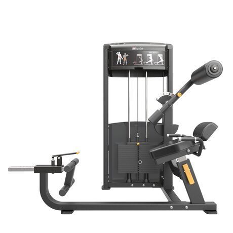 AB/BACK Impulse IF9334