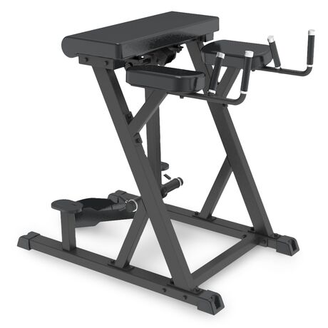 Reverse Hyperextension Impulse IFP1619