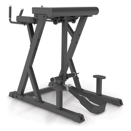 Reverse Hyperextension Impulse IFP1619