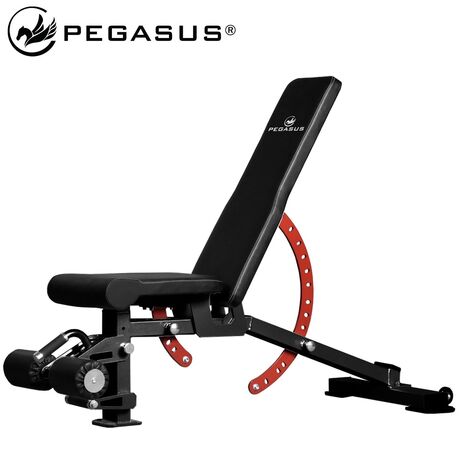Pegasus® Πάγκος Ρυθμιζόμενος PG-2101 327210101