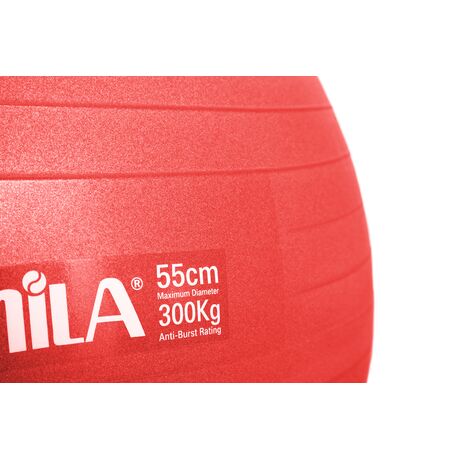 Μπάλα Γυμναστικής AMILA GYMBALL 55cm Κόκκινη Bulk 48440