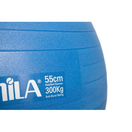 Μπάλα Γυμναστικής AMILA GYMBALL 55cm Μπλε Bulk 48437