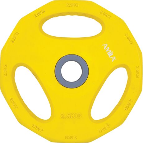 Δίσκος AMILA Pump Rubber Φ30 2,50Kg 84516