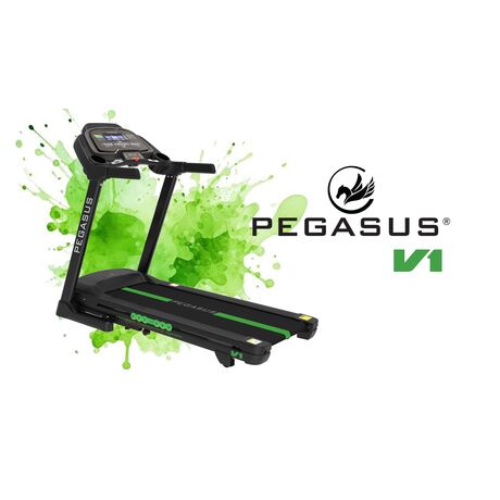 Διάδρομος Γυμναστικής Pegasus® V1 2.5ΗΡ 338351022