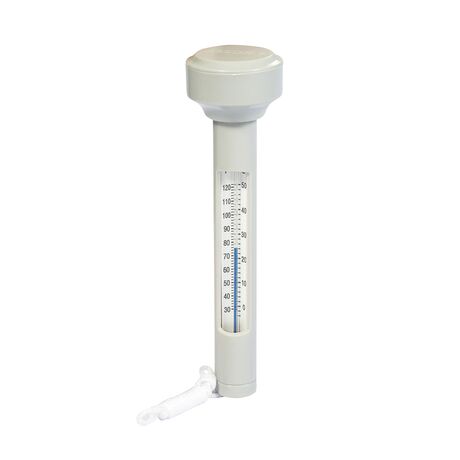 58072 FLOATING POOL THERMOMETER BESTWAY INTERNATIONAL LIMITED 15877